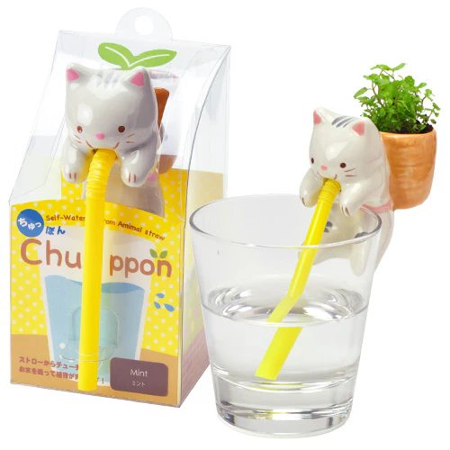 Chuppon Plant - Growing Garden - Image 3