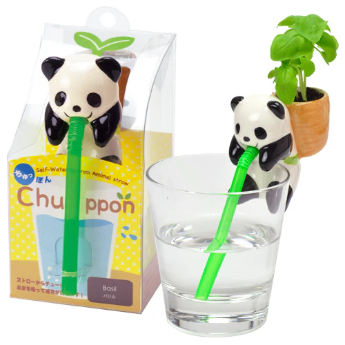 Chuppon Plant - Growing Garden - Image 4