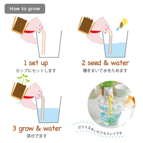 Chuppon Plant - Growing Garden - Image 5