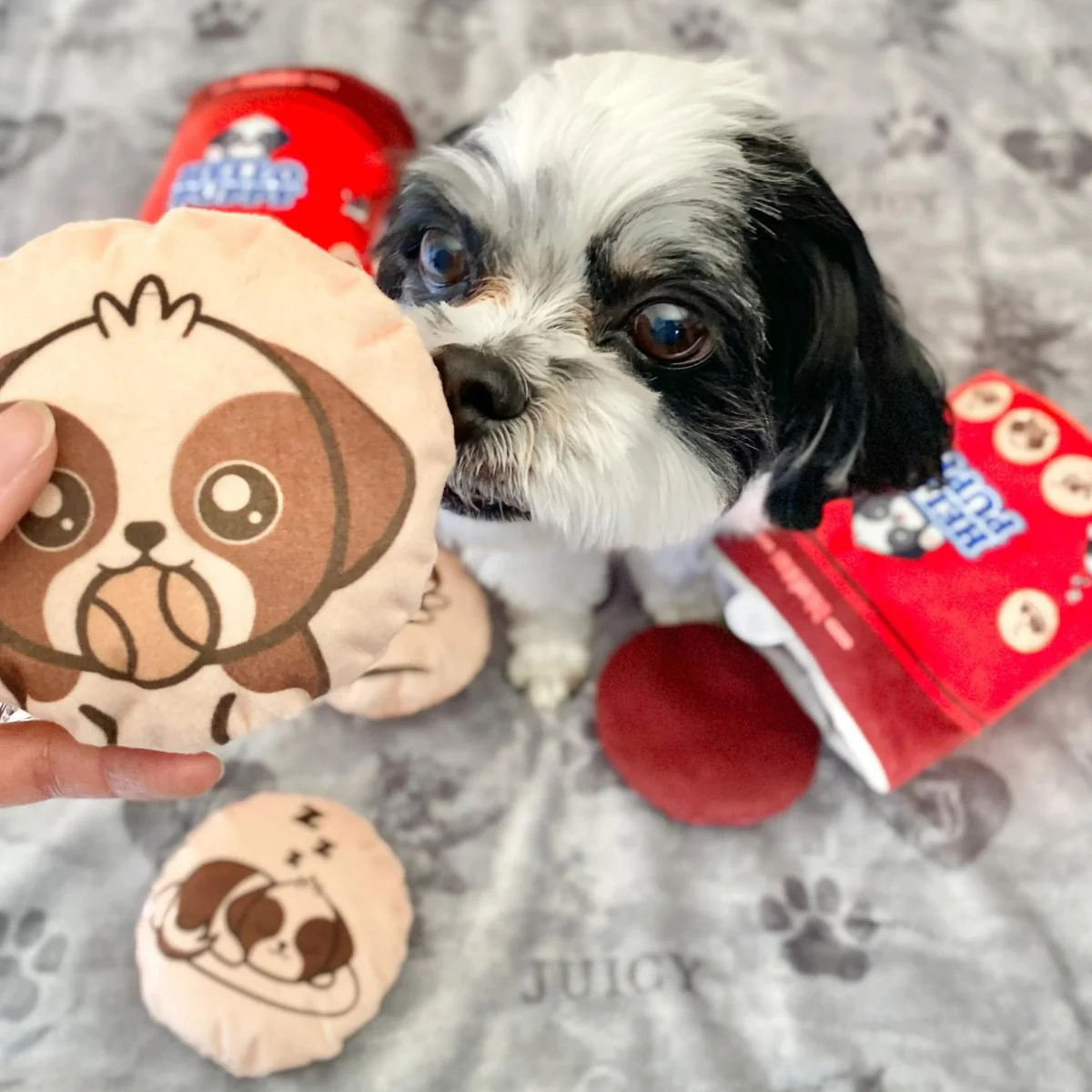 Hello Puppy Four Piece Dog Toy - Image 2
