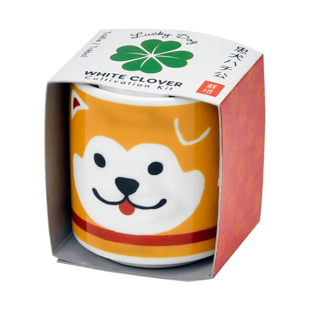 Lucky Plants - Image 4