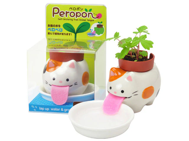 Peropon Plant - Growing Garden - Image 2