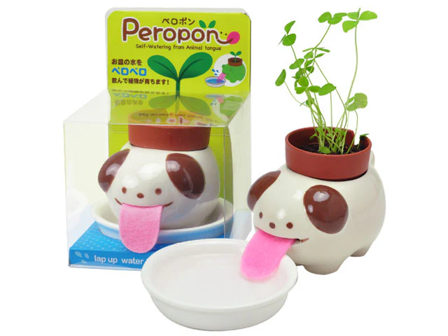 Peropon Plant - Growing Garden - Image 3