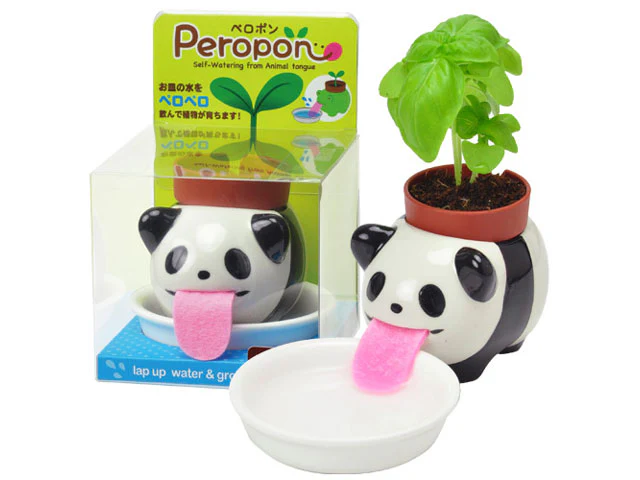 Peropon Plant - Growing Garden - Image 4