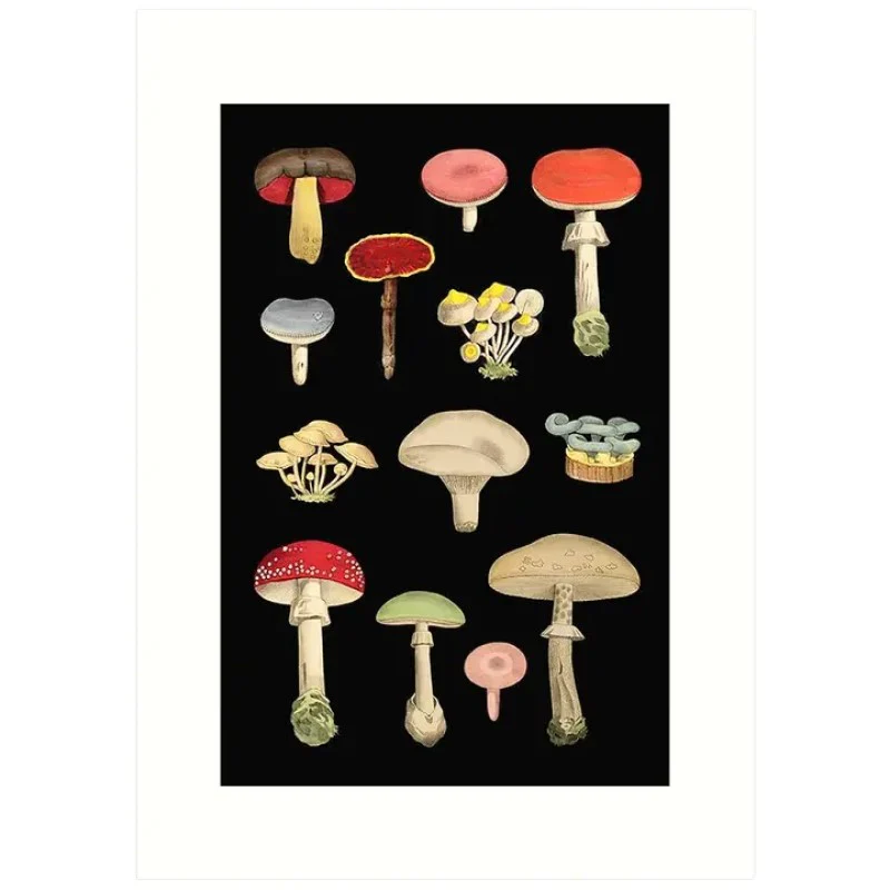 Vintage Match Box Label Art Greeting Card (Various Designs) - Image 3